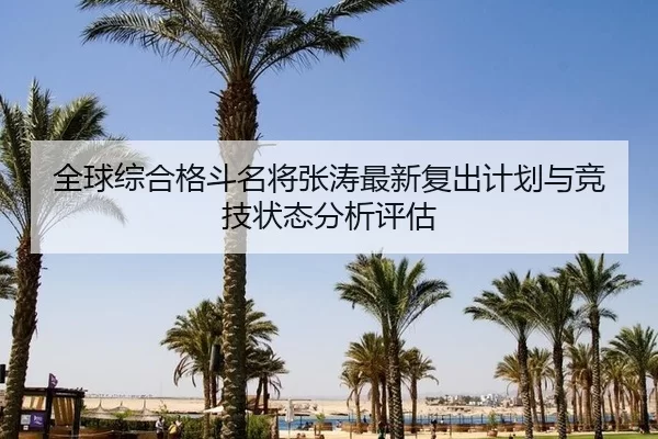 quan-qiu-zong-he-ge-dou-ming-jiang-zhang-tao-zui-xin-fu-chu-ji-hua-yu-jing-ji-zhuang-tai-fen-xi-ping-gu-2-271.jpg